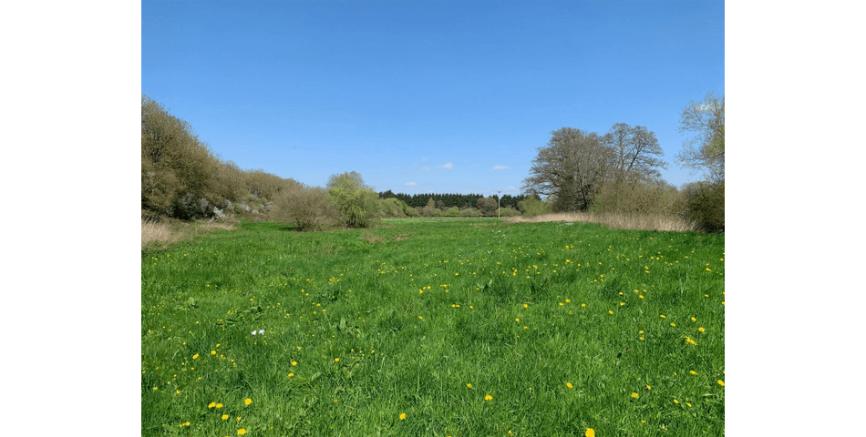 Property Image 0