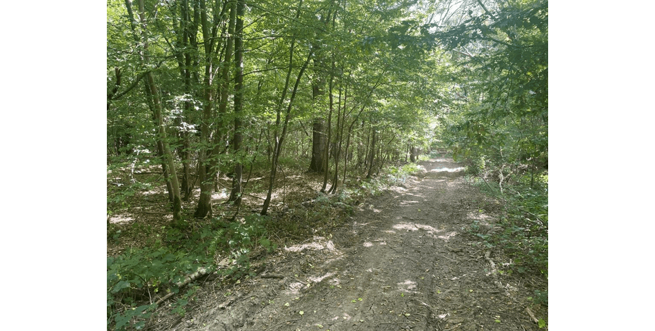Property Image 0