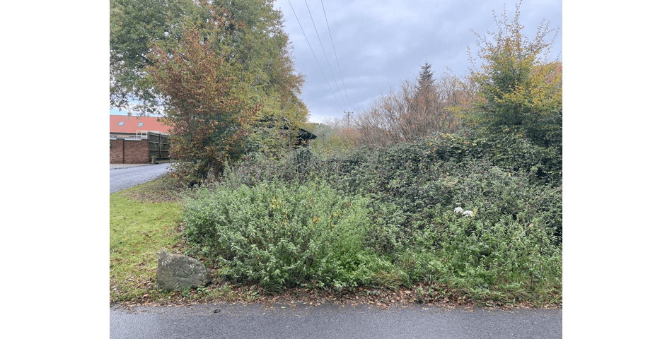 Property Image 0