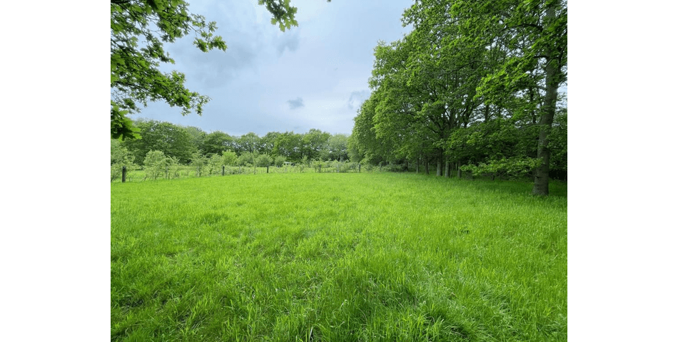 Property Image 0