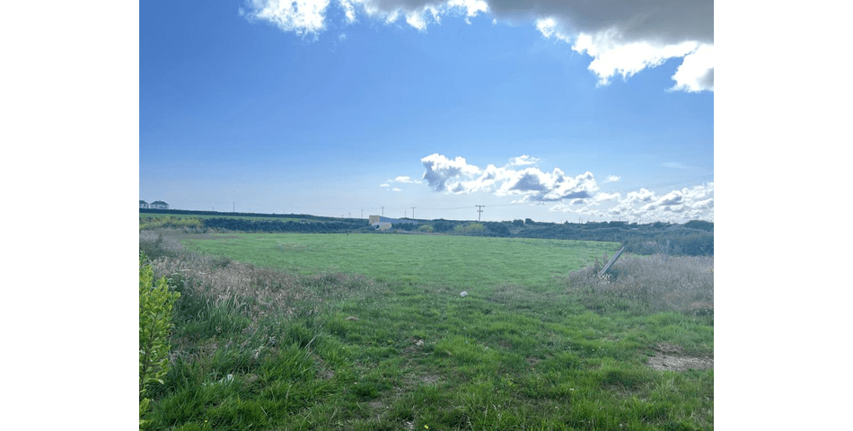 Property Image 0