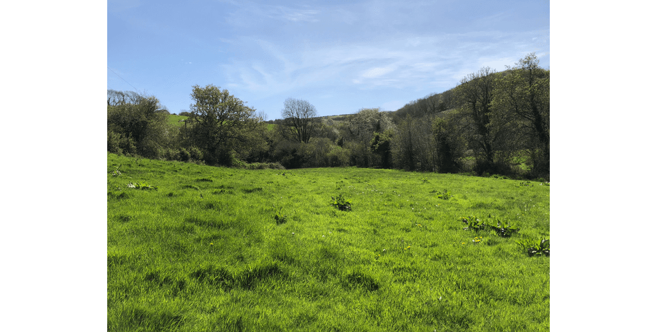 Property Image 0
