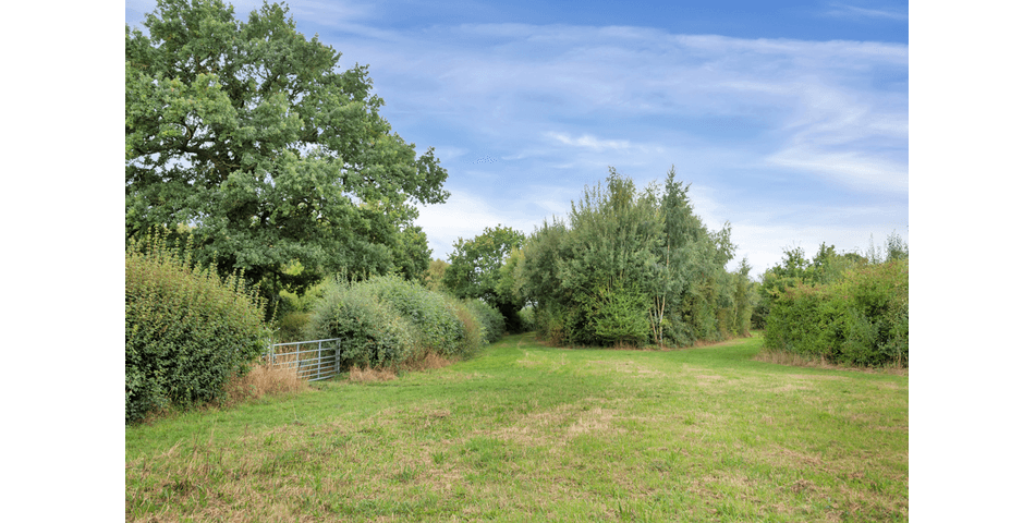 Property Image 0