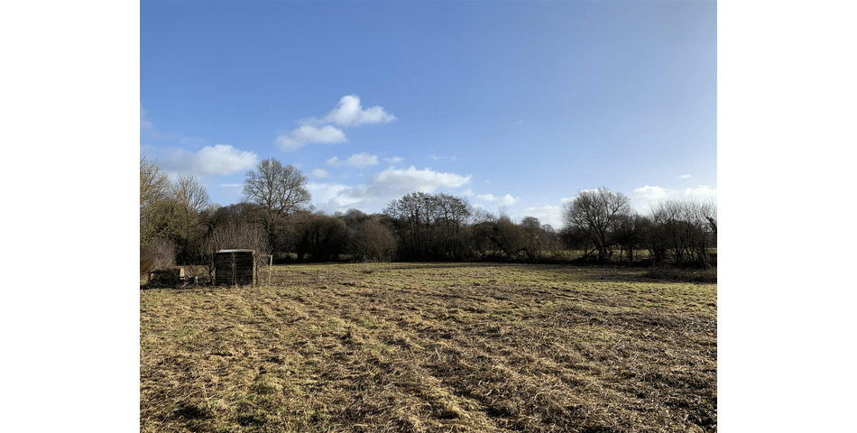 Property Image 0