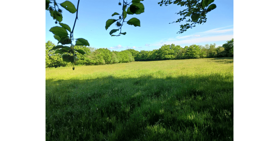 Property Image 0