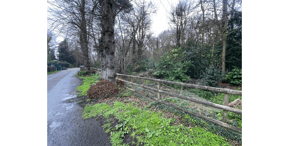 Property Image 0