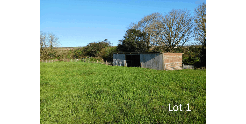 Property Image 0