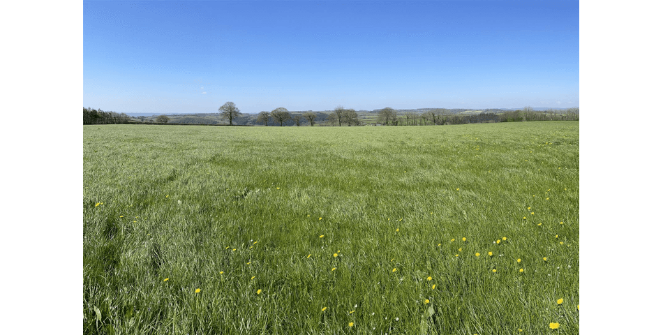 Property Image 0