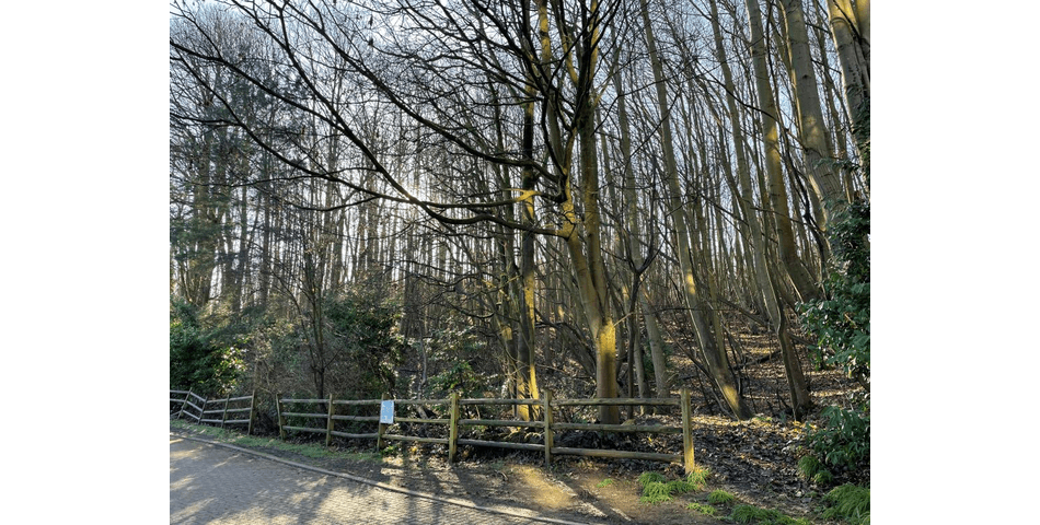 Property Image 0
