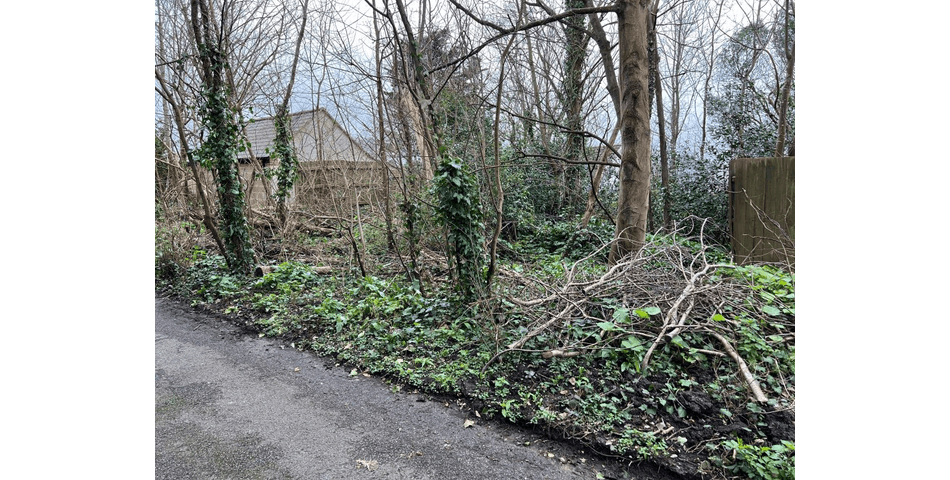 Property Image 0