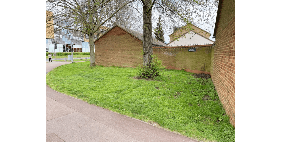 Property Image 0