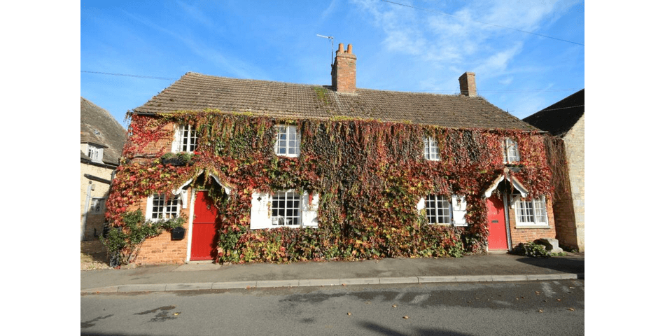 Property Image 0