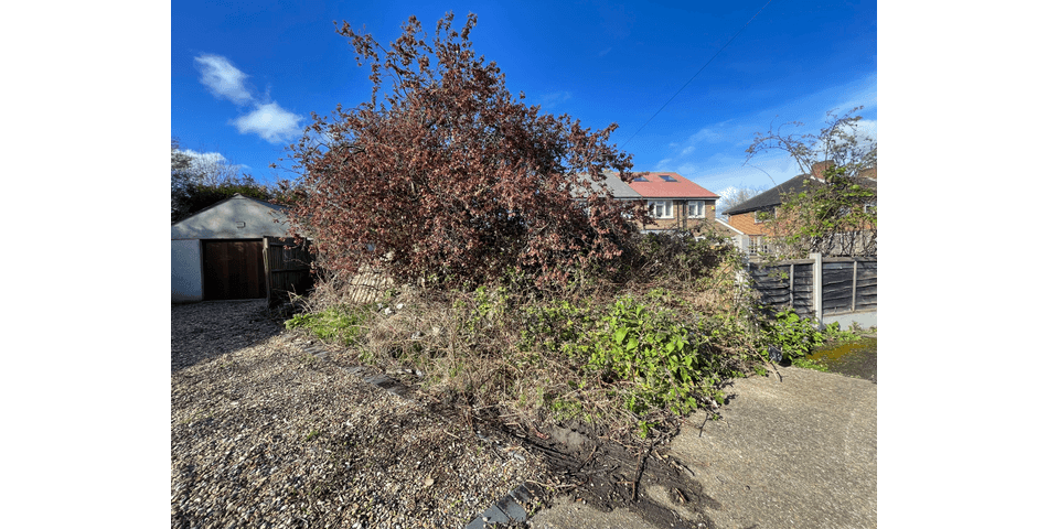 Property Image 0