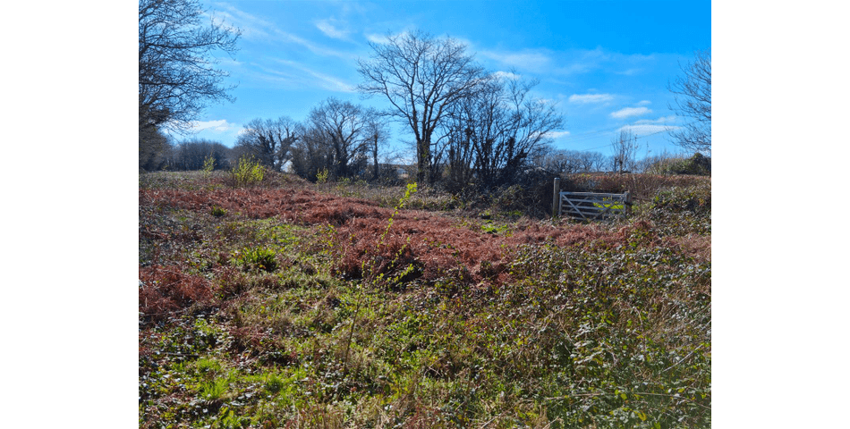 Property Image 0