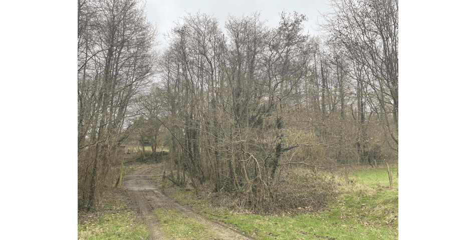 Property Image 0