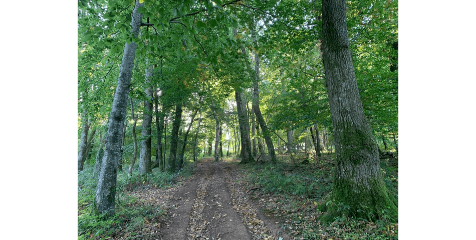 Property Image 0