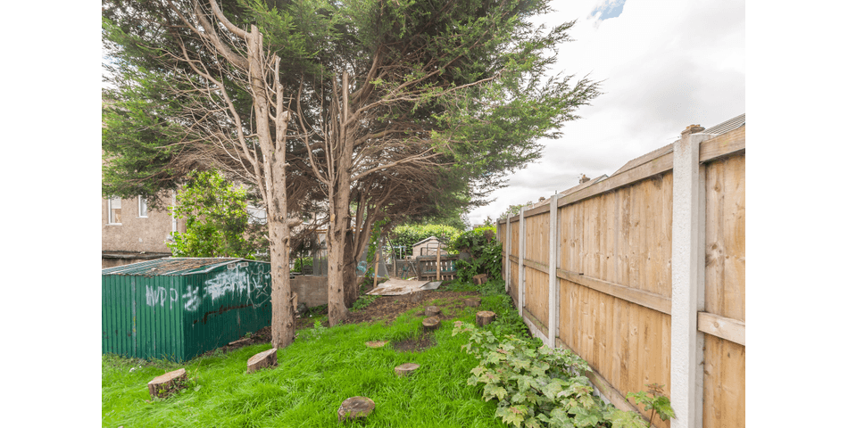 Property Image 48