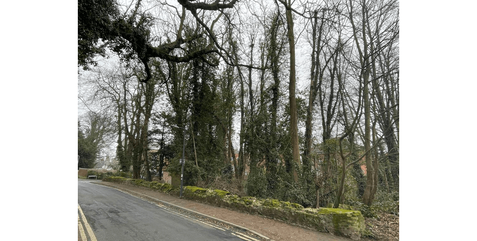 Property Image 0