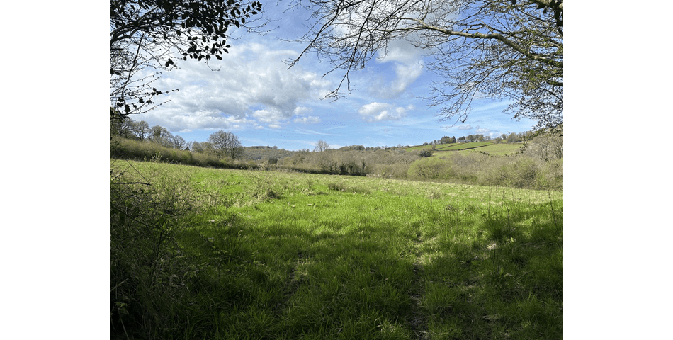Property Image 0