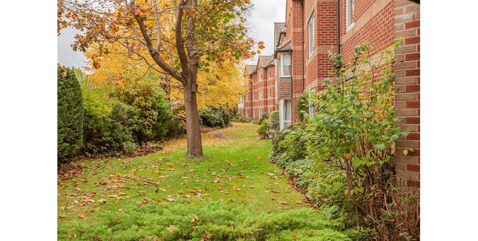 Property Image 11