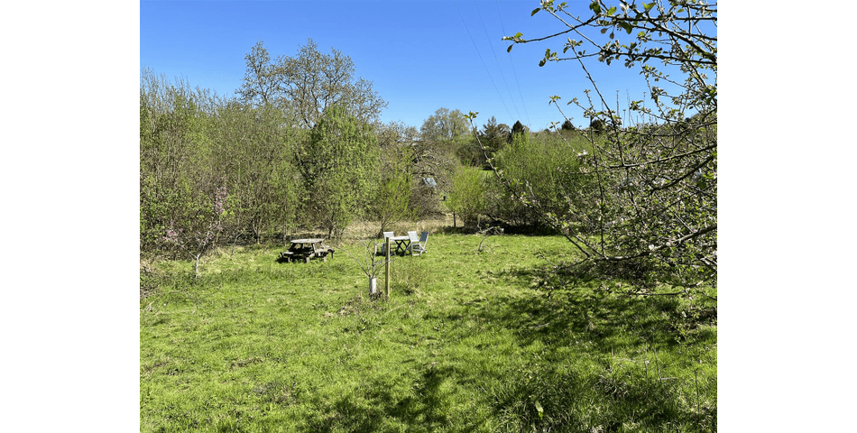 Property Image 0
