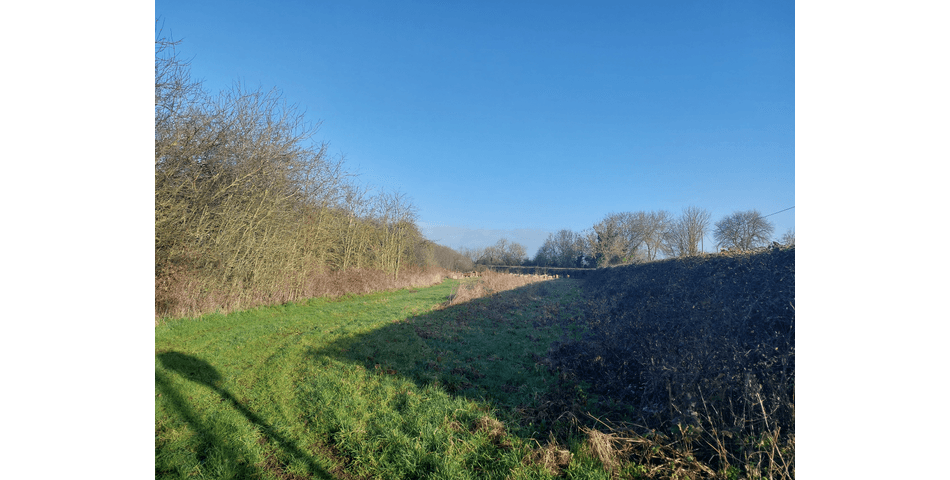 Property Image 0