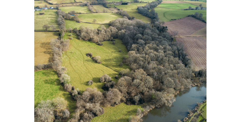 Property Image 0