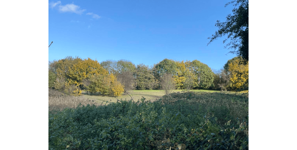 Property Image 0