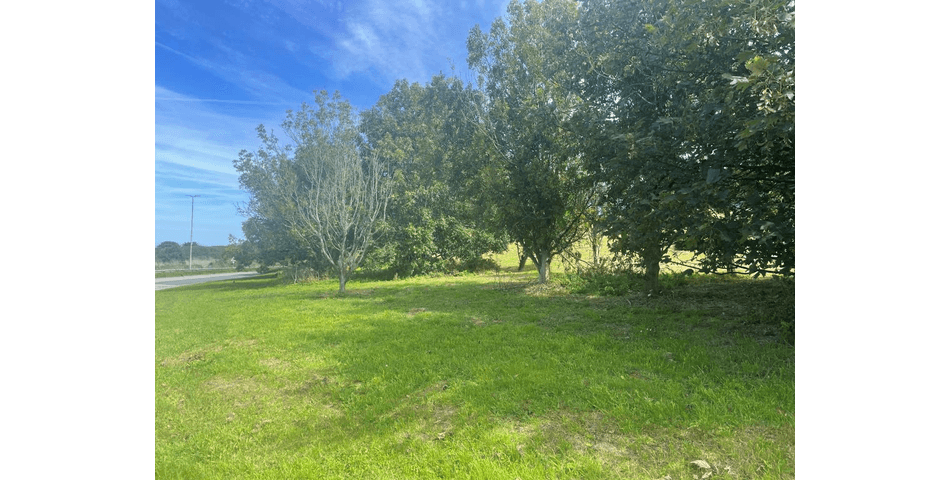 Property Image 0