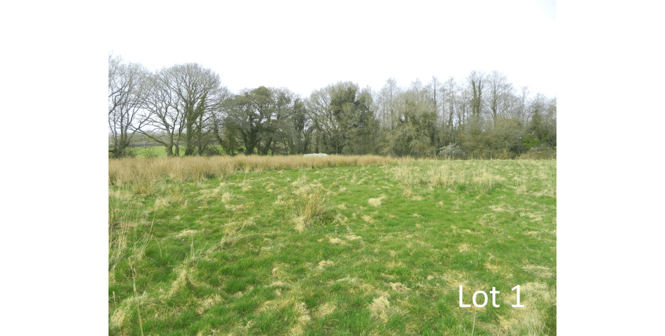 Property Image 0