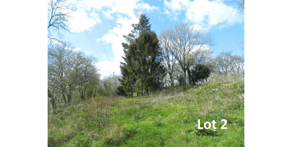 Property Image 0
