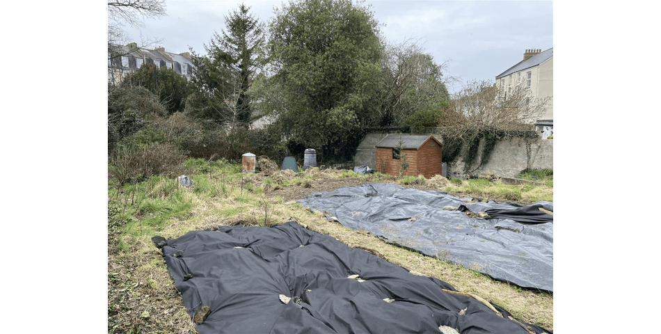 Property Image 0